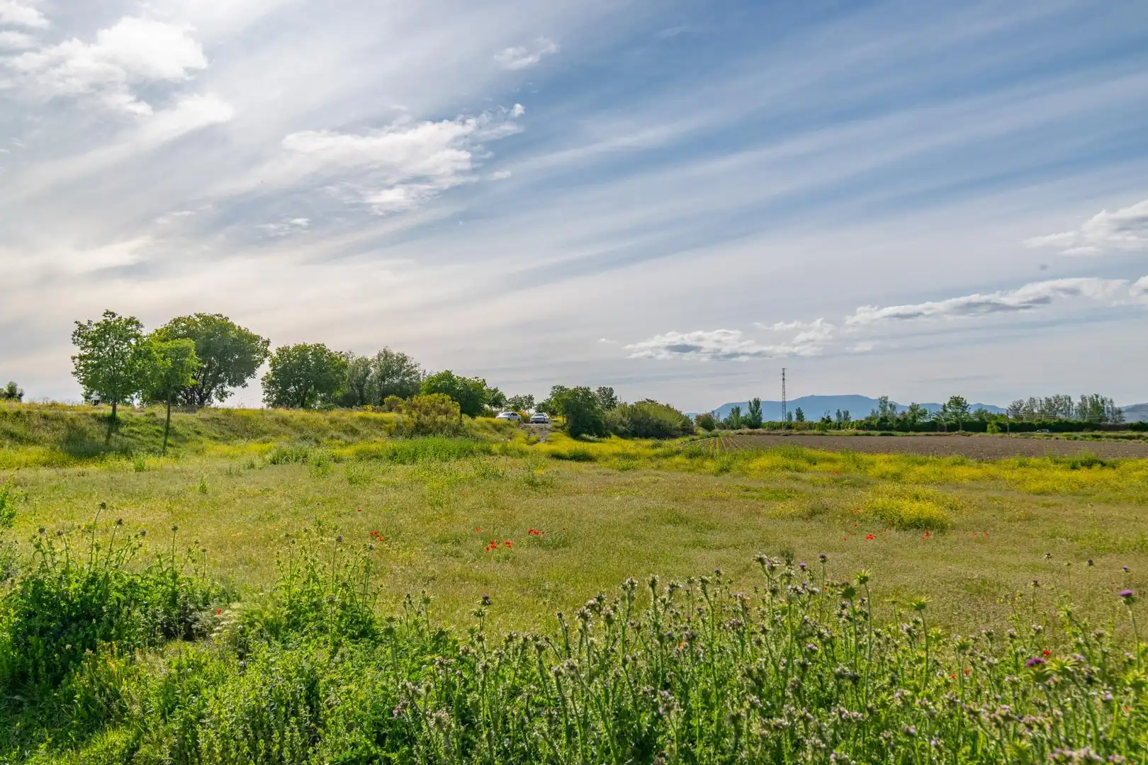 Lands and plots for sale in Polígono 9 Parcela 307 MARACHAT. GRANADA (GRANADA 9, imagen 28