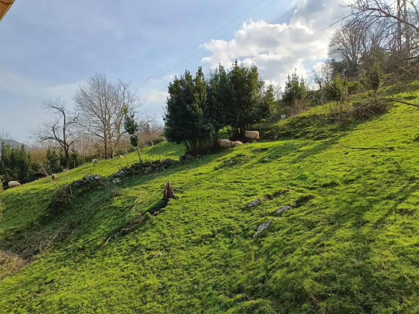 Wohnung zum Verkauf in Ruesga