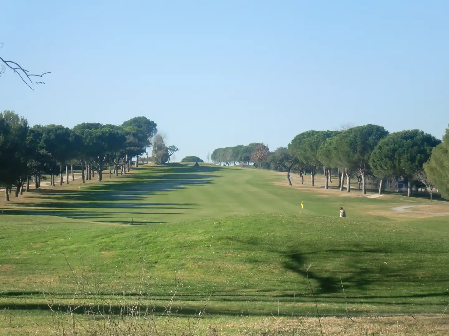 Houses for sale in Ciudalcampo
