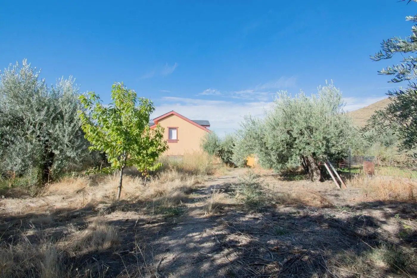Villa con terrazza in vendita a Calle Fuente 16 Caños, imagen 58