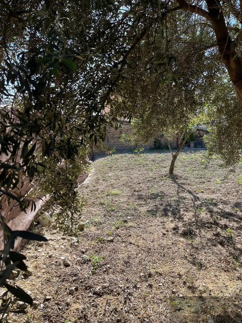 Finca rústica en venta en Rute