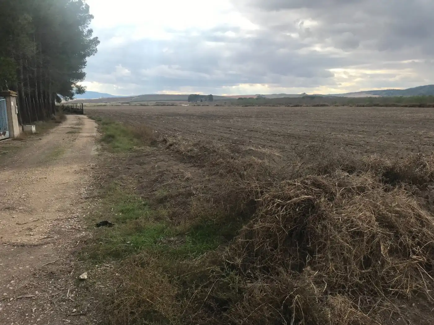Grundstücke zum Verkauf in Villena