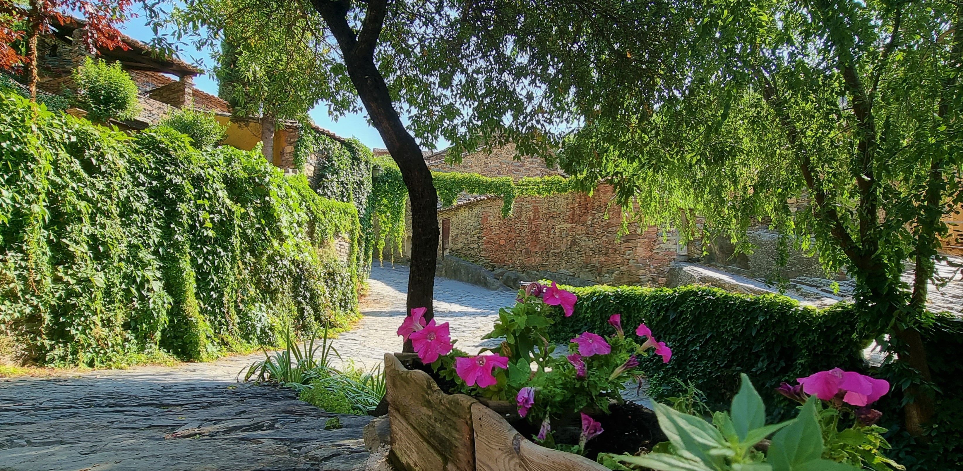 Jardí de Dúplex en venda en Patones amb Calefacció, Terrassa i Traster