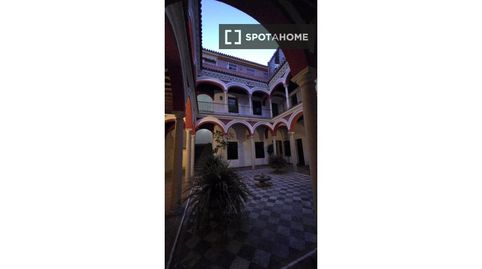 Photo 2 of Room in Alfalfa - Santa Cruz, Sevilla Capital