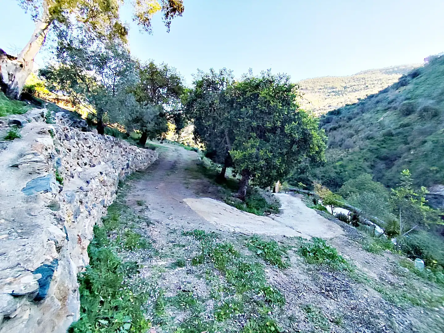 Vista exterior de Finca rústica en venda en Pizarra amb Terrassa
