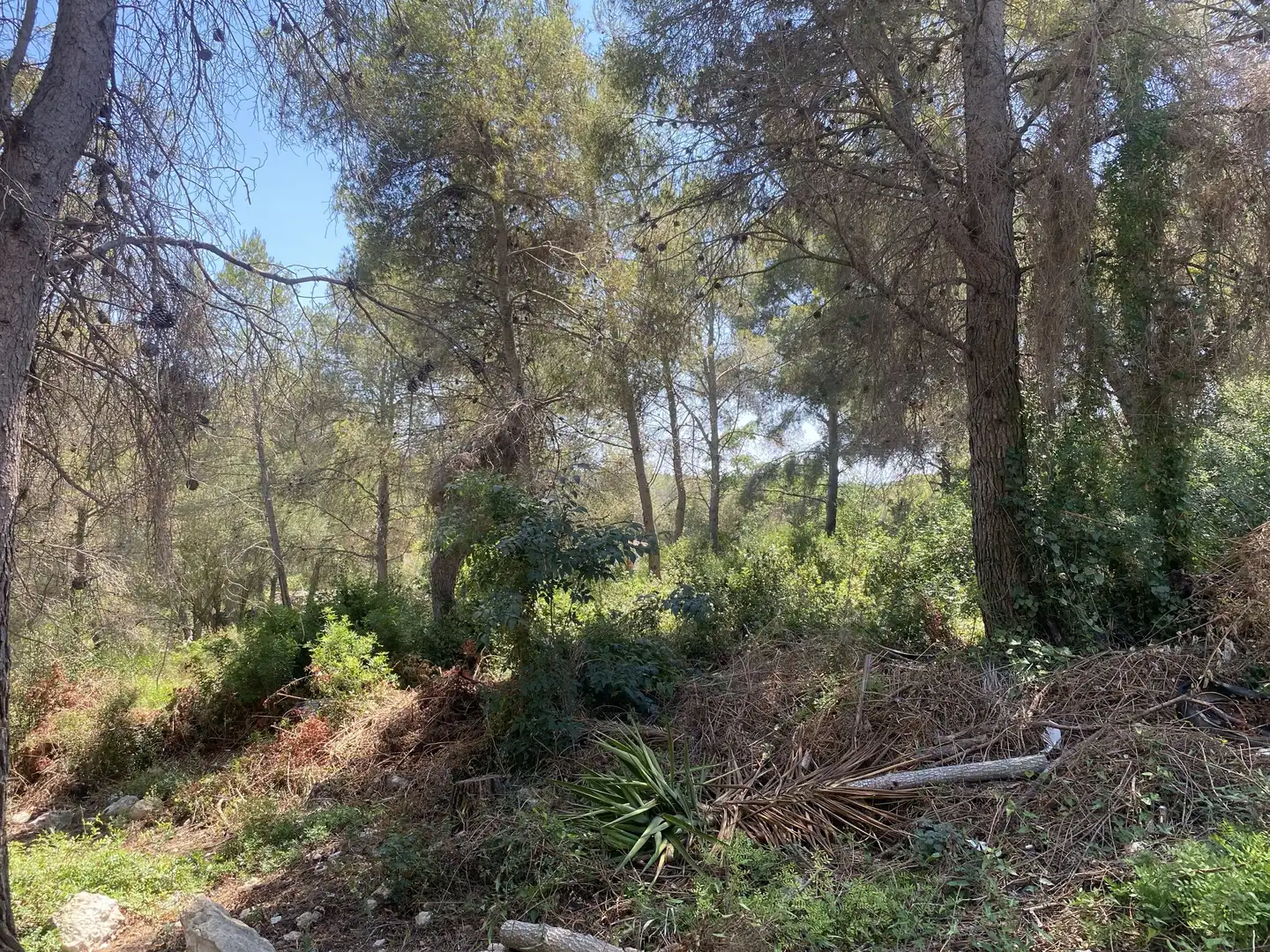 Residential land for sale in Urbanitzacions de Llevant, imagen 14