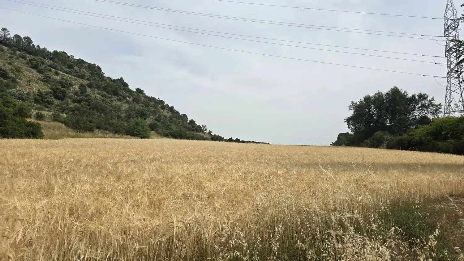 Terreno en venta en M-219, 175, Olmeda de las Fuentes