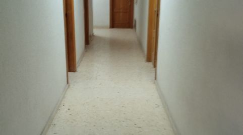 Foto 4 de Oficina de alquiler en Crevillent, Alicante