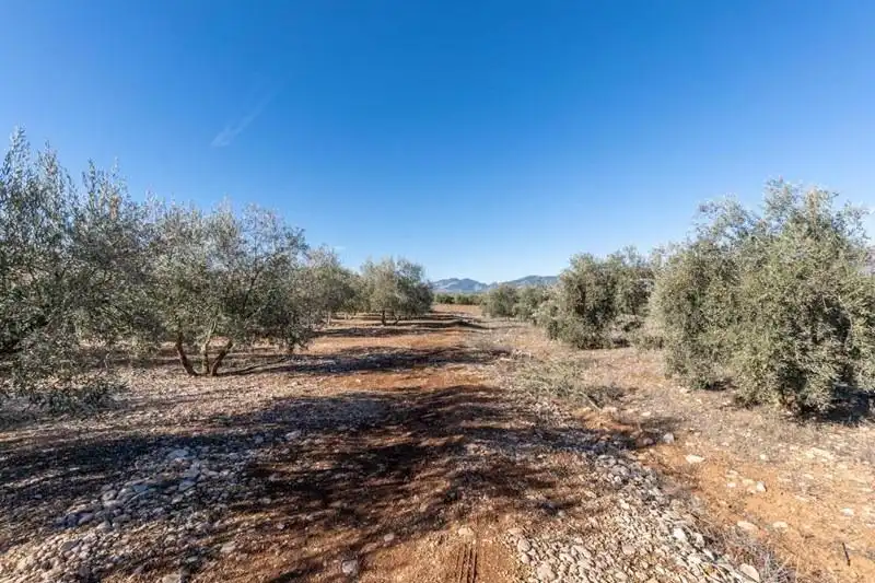 Casa rústica en venda a PAGO CORTIJO DE LAS MONJAS POLIGONO 1 PARCELA 193, imagen 12