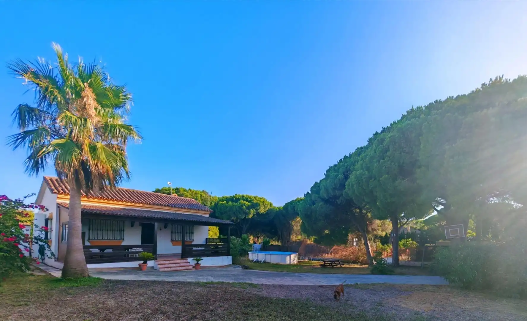 Villa con piscina in vendita a Las Lagunas - Campano, imagen 3