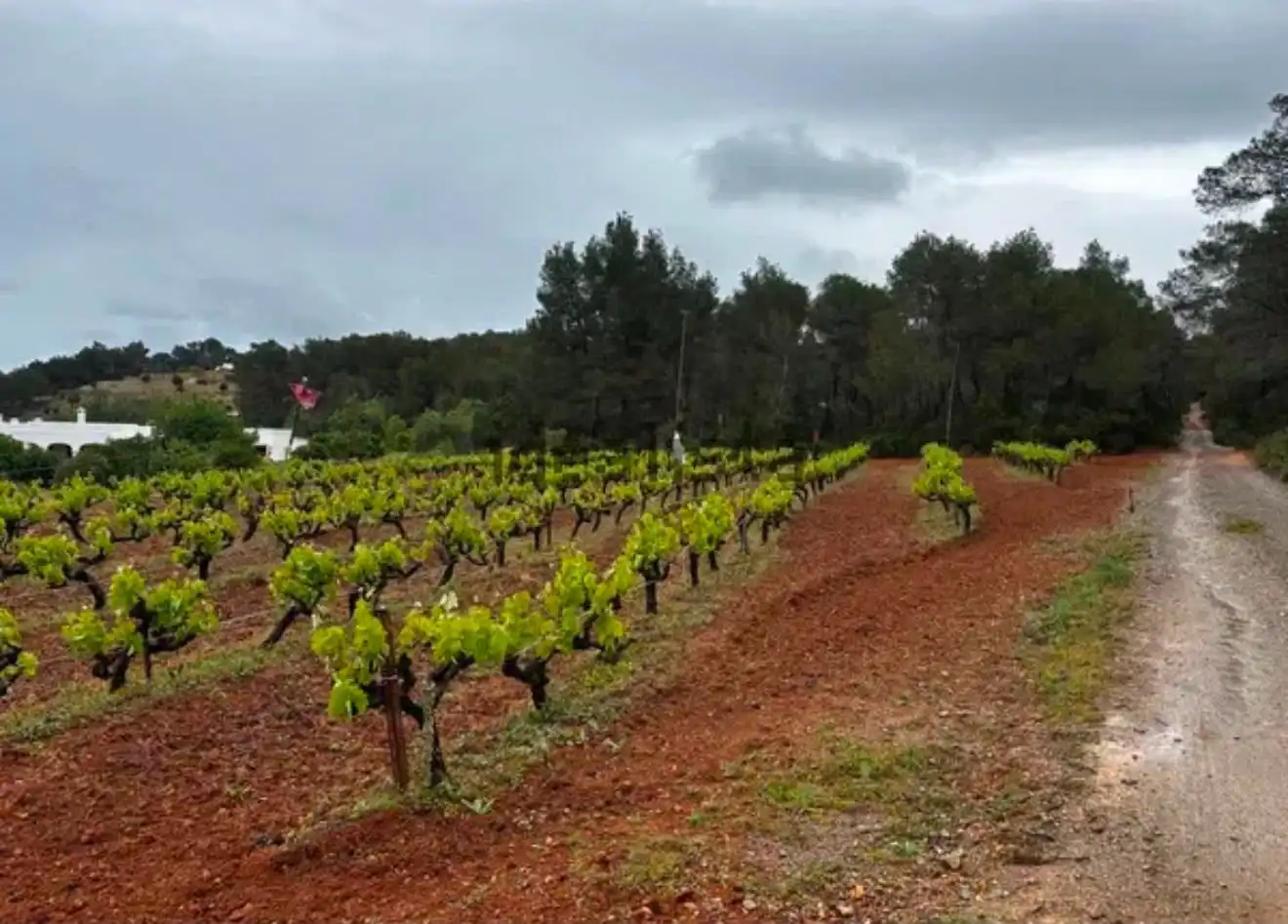 Terreno en venta en Santa Eulària des Riu