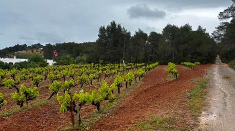 Foto 5 de Terreny en venda a Calle Port de Sant Miquel, Santa Gertrudis, Santa Eulària des Riu