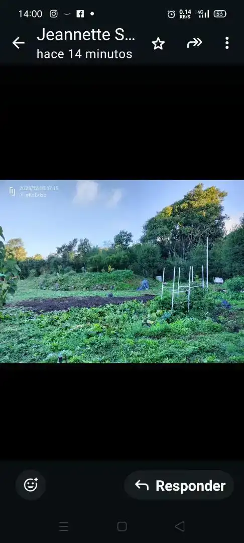 Finca rústica en venda en El Tanque, Santa Cruz de Tenerife
