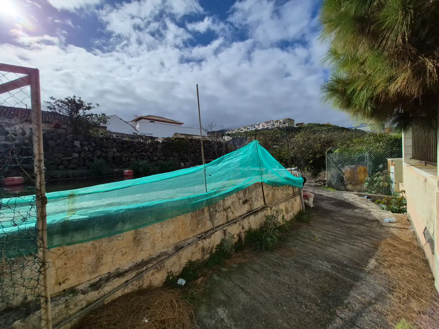 Rural land for sale in Camino la Cueva del Rey, imagen 46