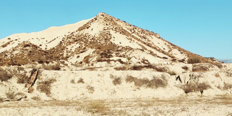 Exterior view of Land for sale in Molina de Segura