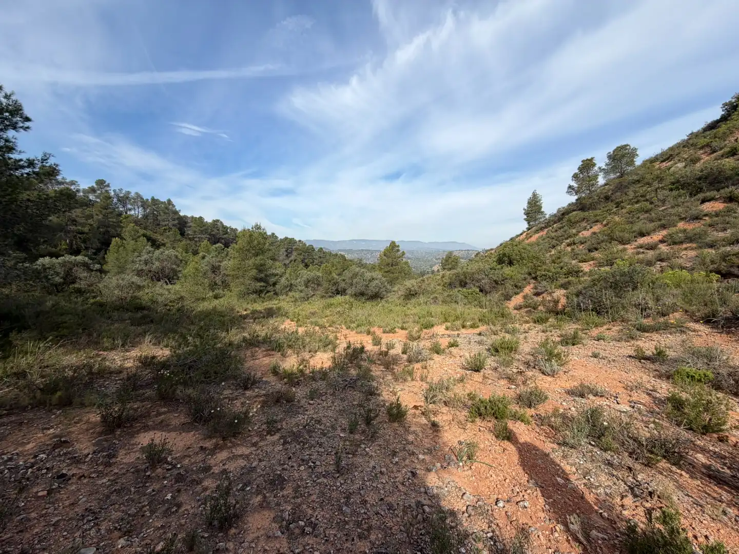 Terreno rustico in vendita a Ascó, imagen 2