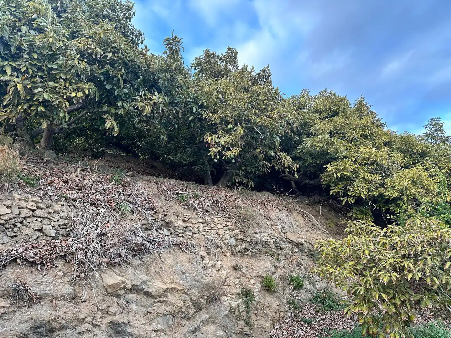 Terreno en venta en Minasierra Alta, 1, Motril ciudad