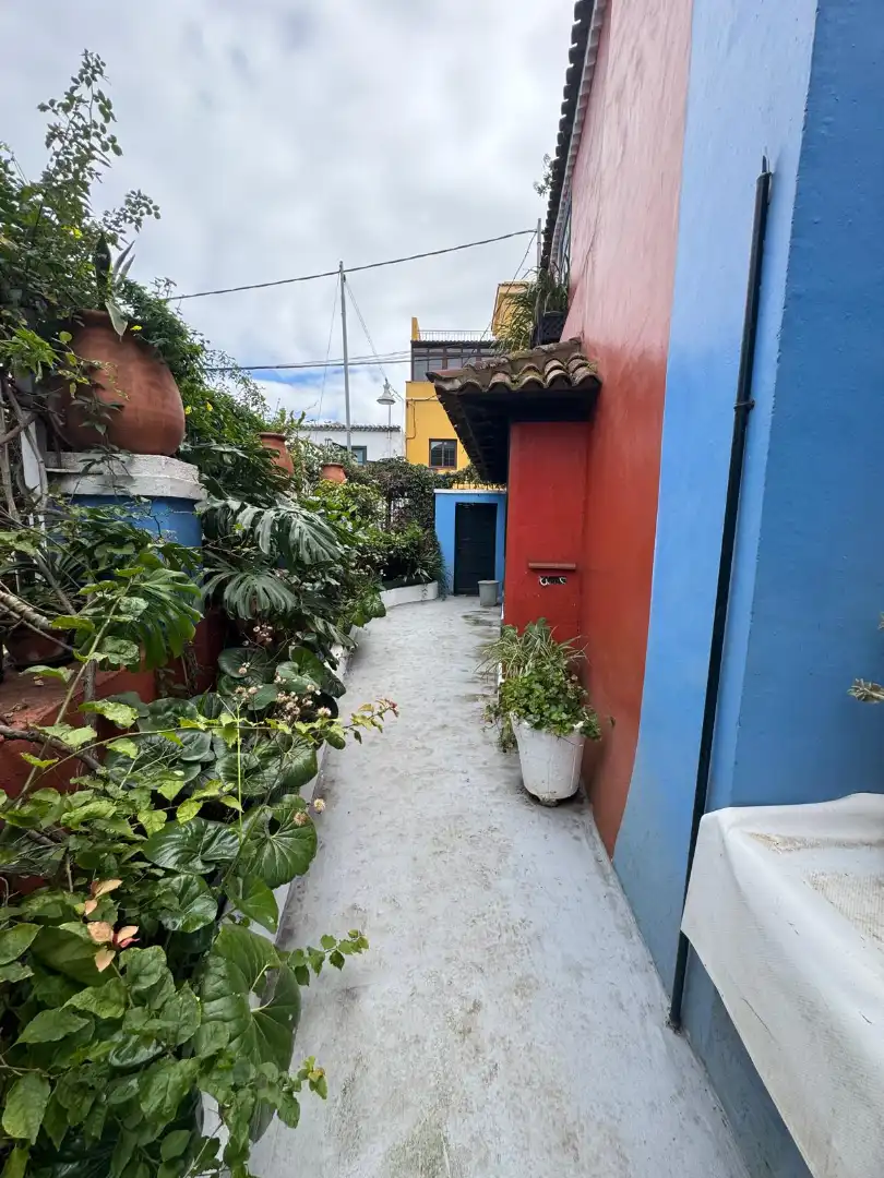 Vista exterior de Casa o xalet en venda en Los Realejos amb Jardí privat, Moblat i Internet