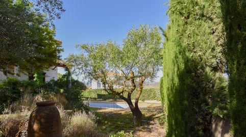 Photo 4 of Houses for sale in Calle Calle Ur el Puntal - G-1, 7-b, Padul, Granada