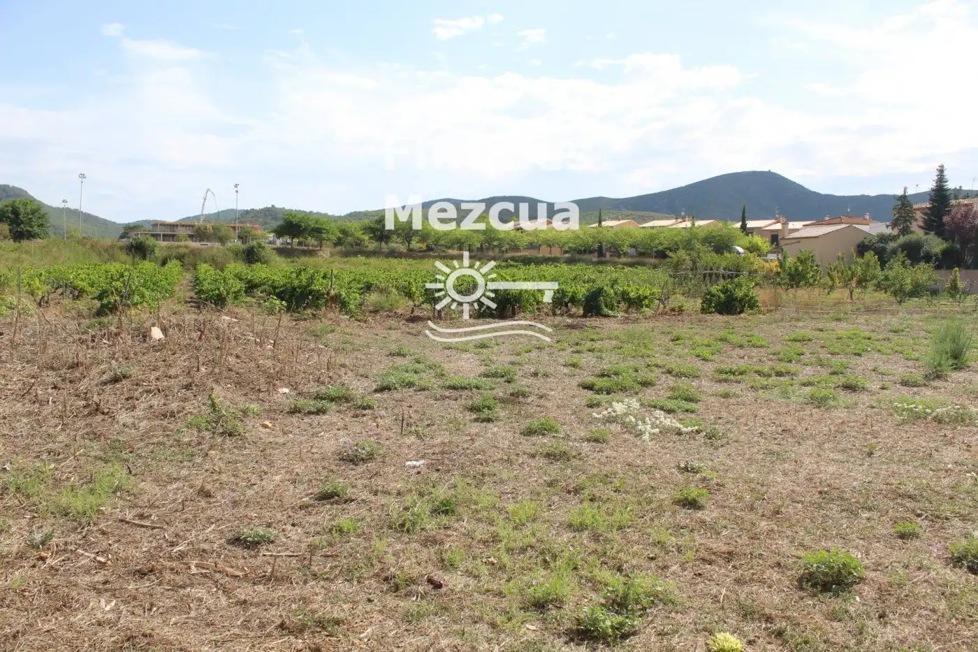 Terreny rústic en venda a esglesia de l', imagen 4