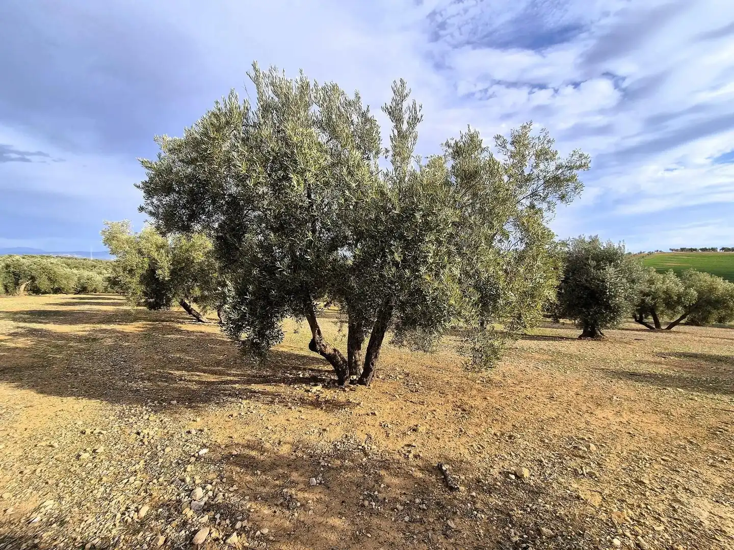 Terreno residencial en venta en Salar, imagen 7