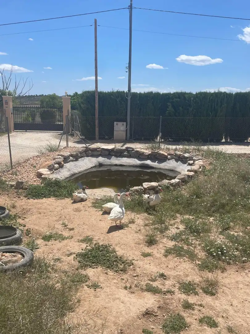 Villa à vendre à El Pinós / Pinoso, imagen 47