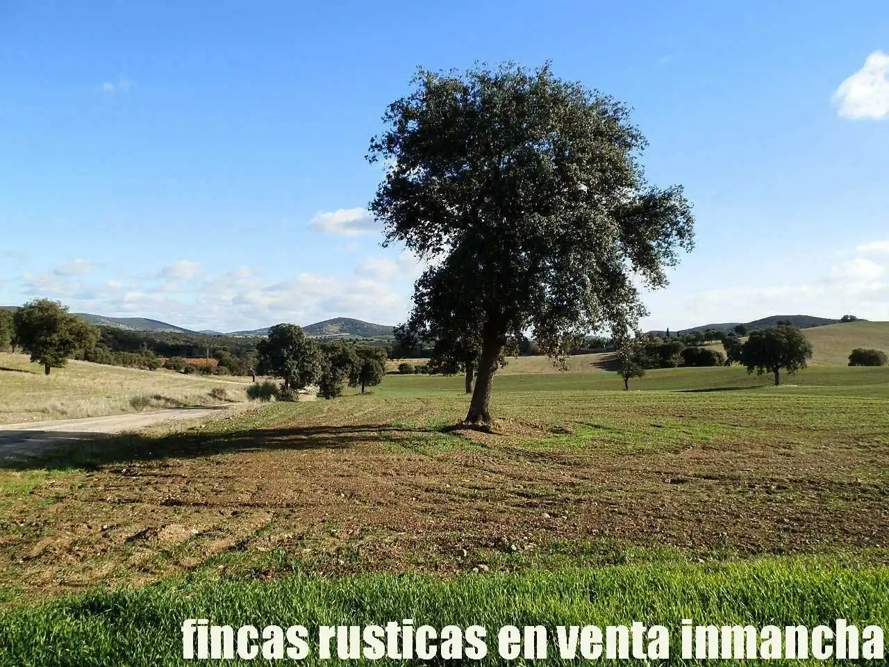 Terreny rústic en venda a Viso del Marqués, imagen 2