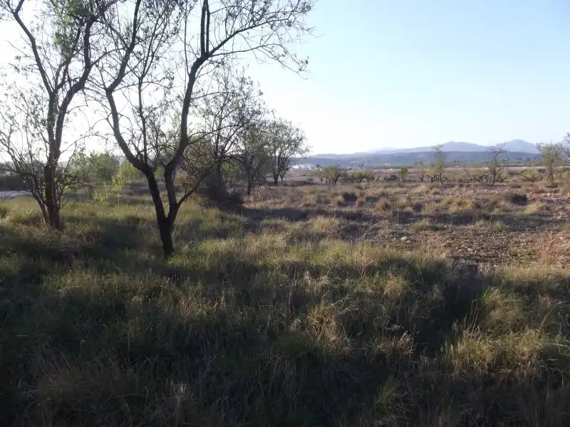 Terreny rústic en venda a PARCELA, imagen 6