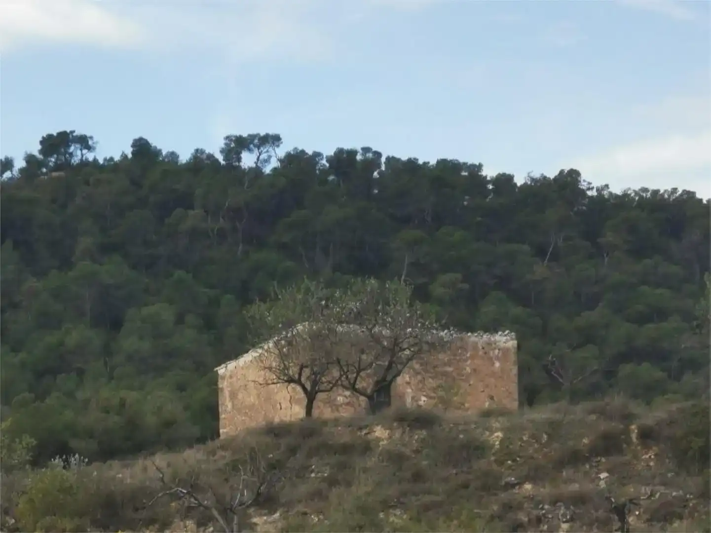 Vista exterior de Finca rústica en venda en Nonaspe