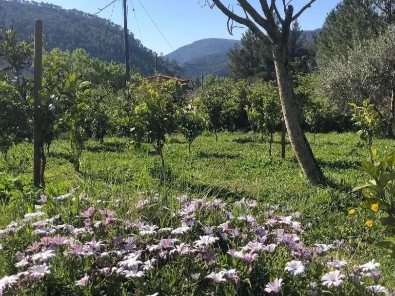 Garden of Houses for sale in Pratdip, Tarragona