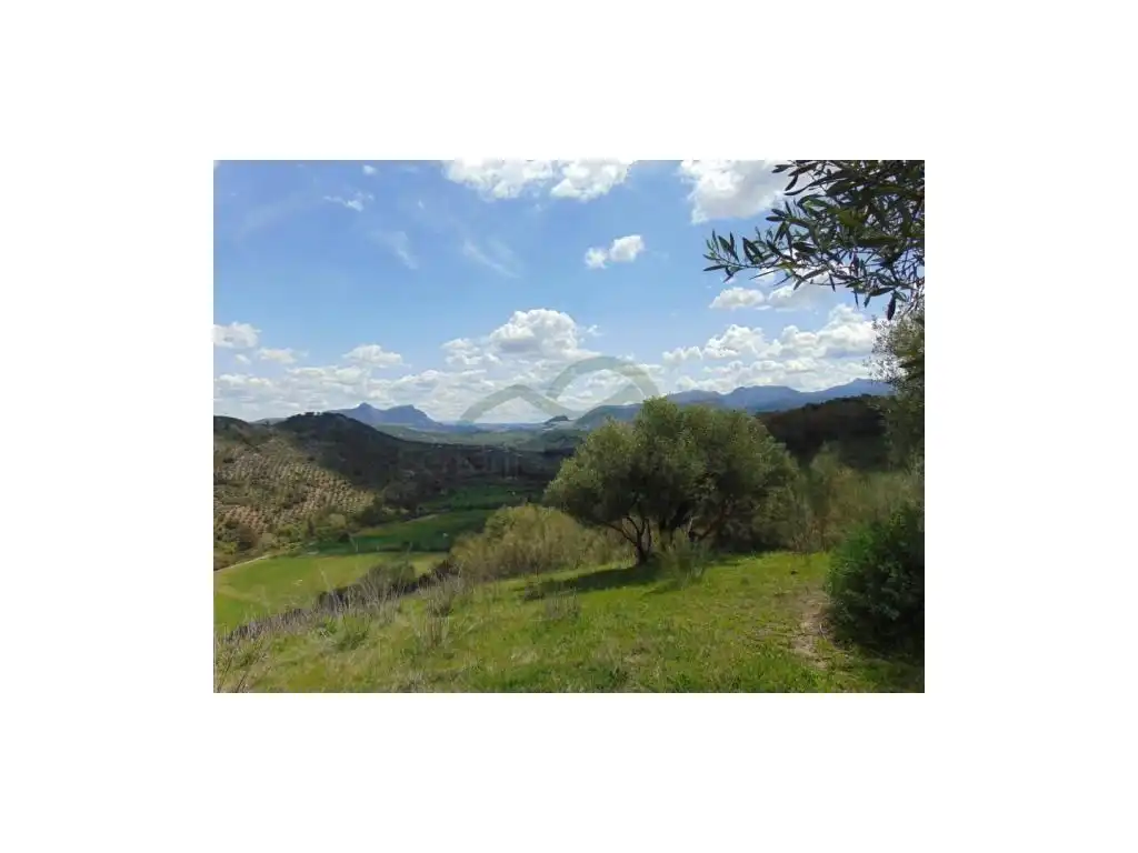 Maison à vendre à Algodonales, imagen 4