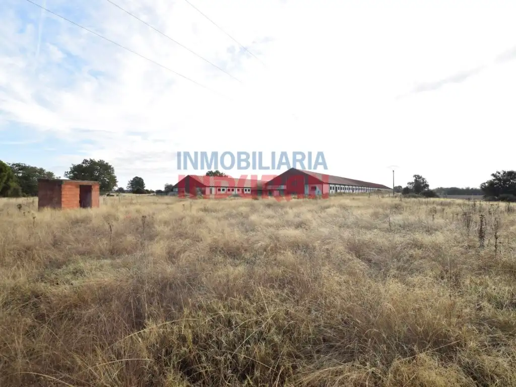 Casa o chalet en venta en Pueblonuevo de Miramontes