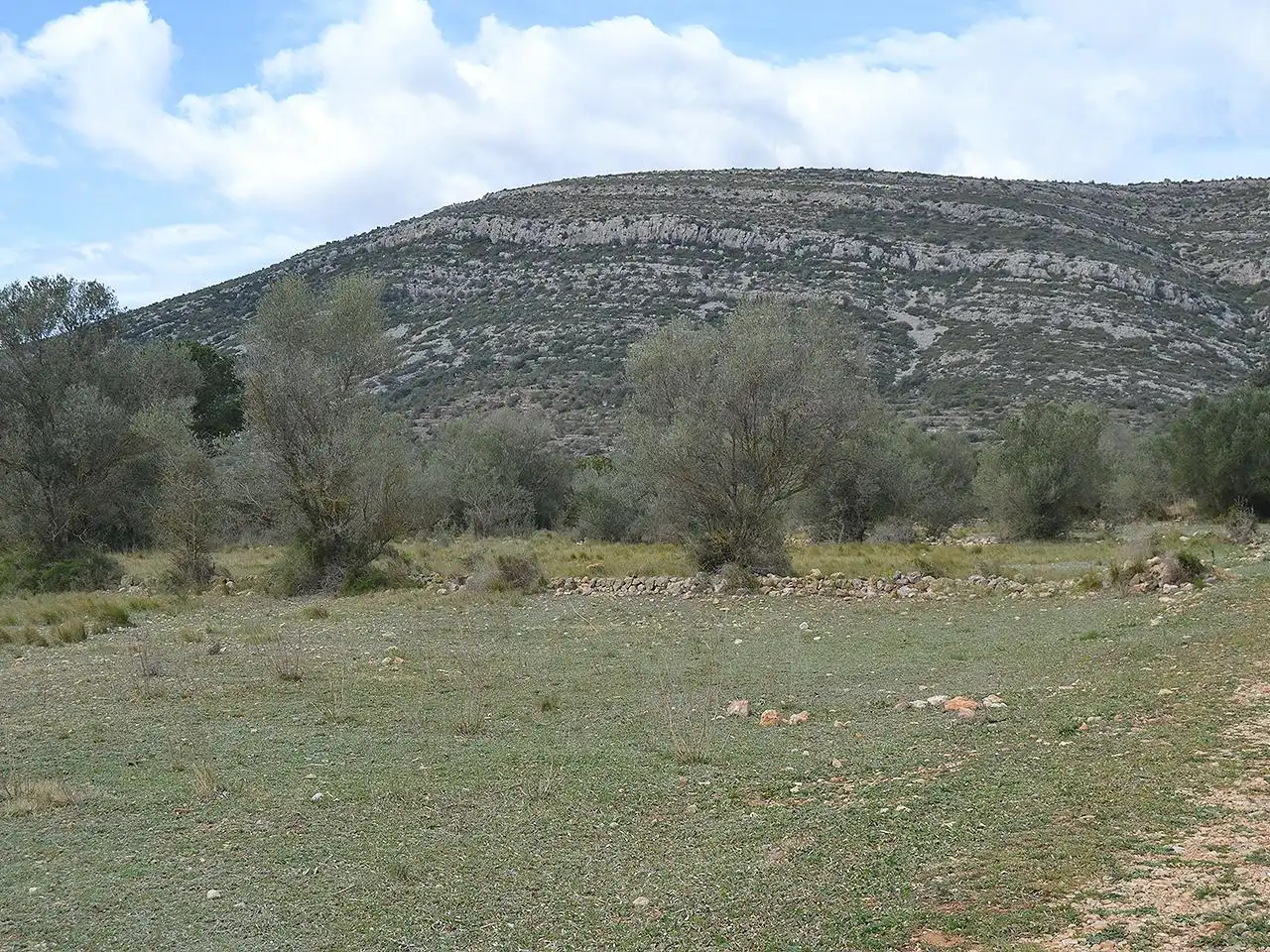 Terreny rústic en venda a Pont Godall/Dressera/Ermita, imagen 16