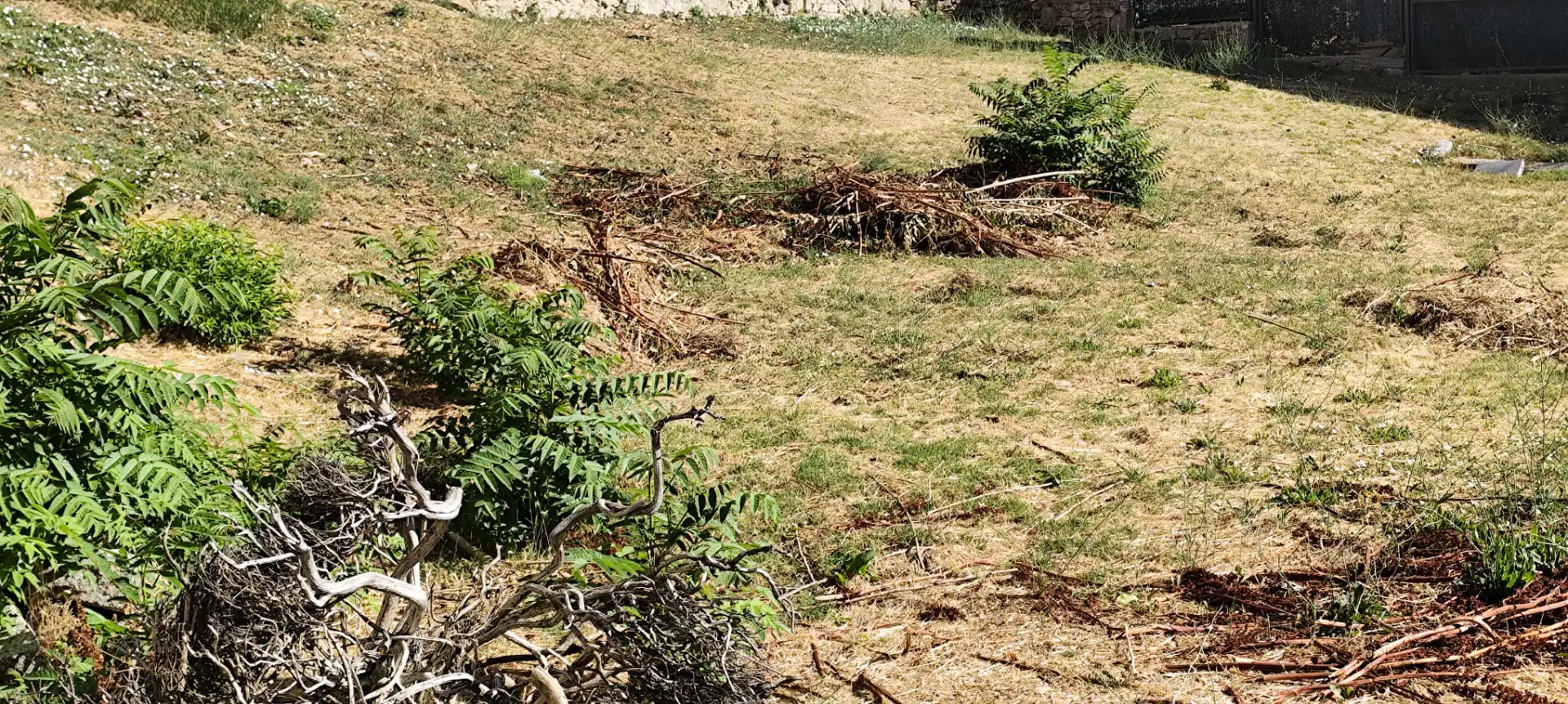 Residencial en venda a Abantos - Carmelitas