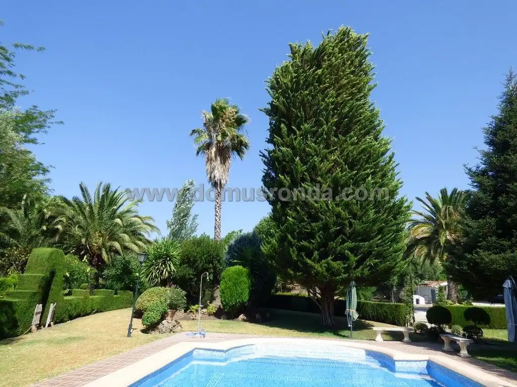 Xalet amb piscina en venda a San Rafael, imagen 12