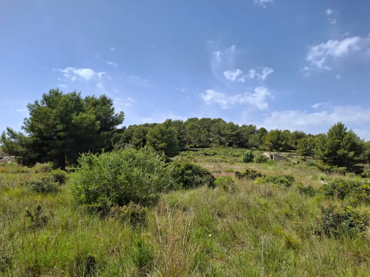Maison rustique avec jardin à vendre à Teulada, imagen 13