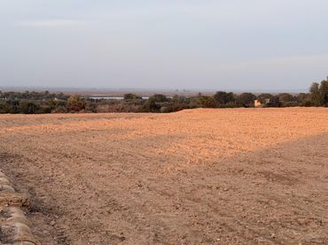 Terreno rustico in vendita a La Marina