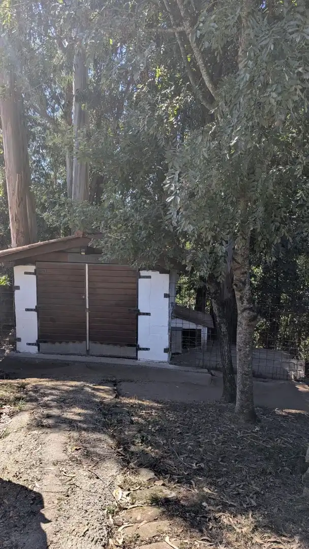 Maison rustique à vendre à MANUEL PEREZ MAZO, imagen 46