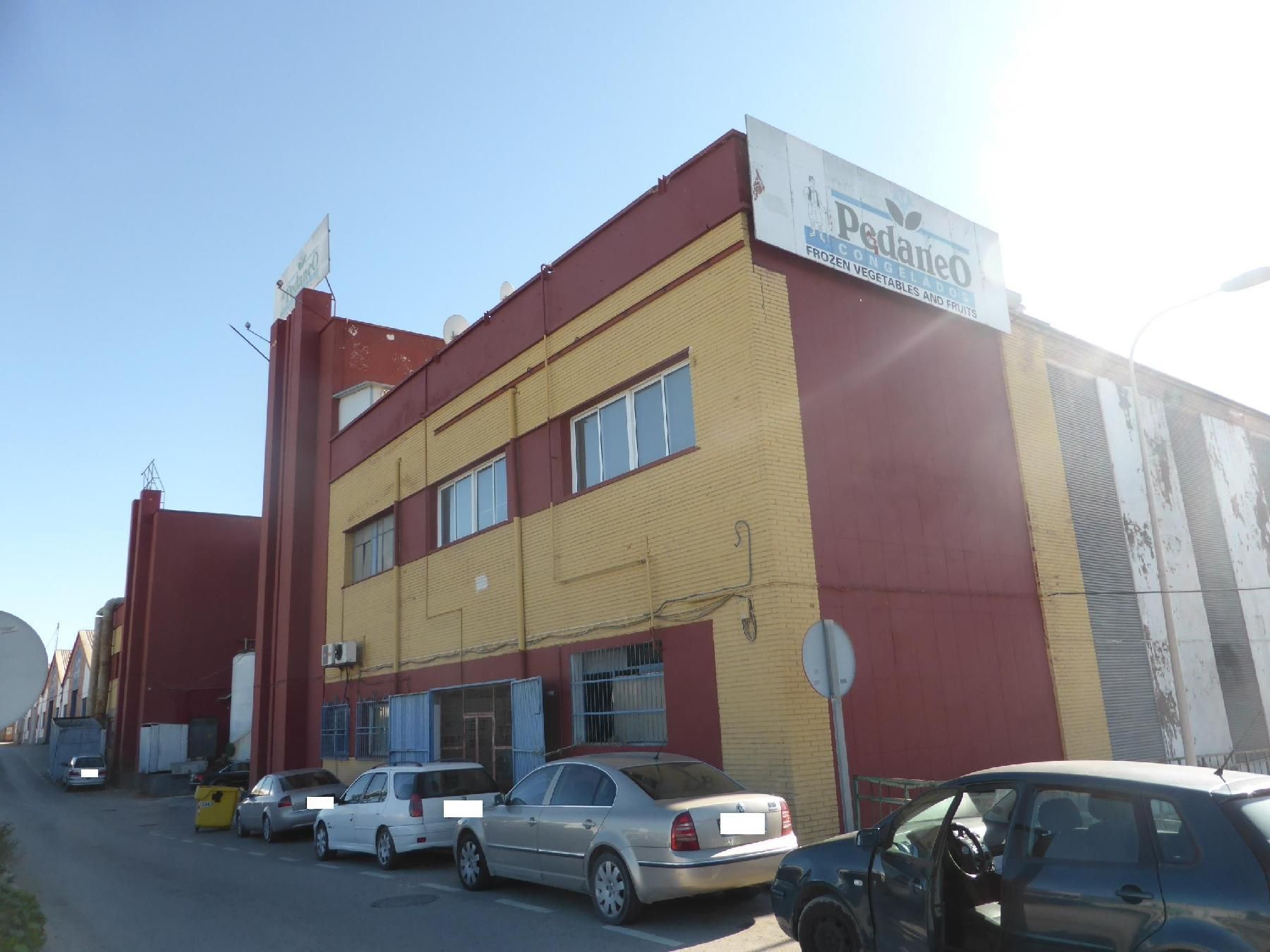 Vista exterior de Residencial en venta en Molina de Segura