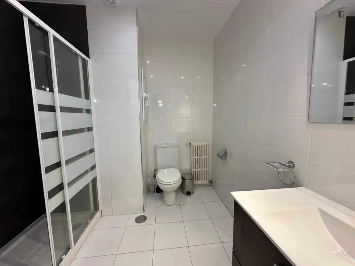 Baño de Apartamento para compartir en Madrid con Amueblado, Lavadora y Microondas