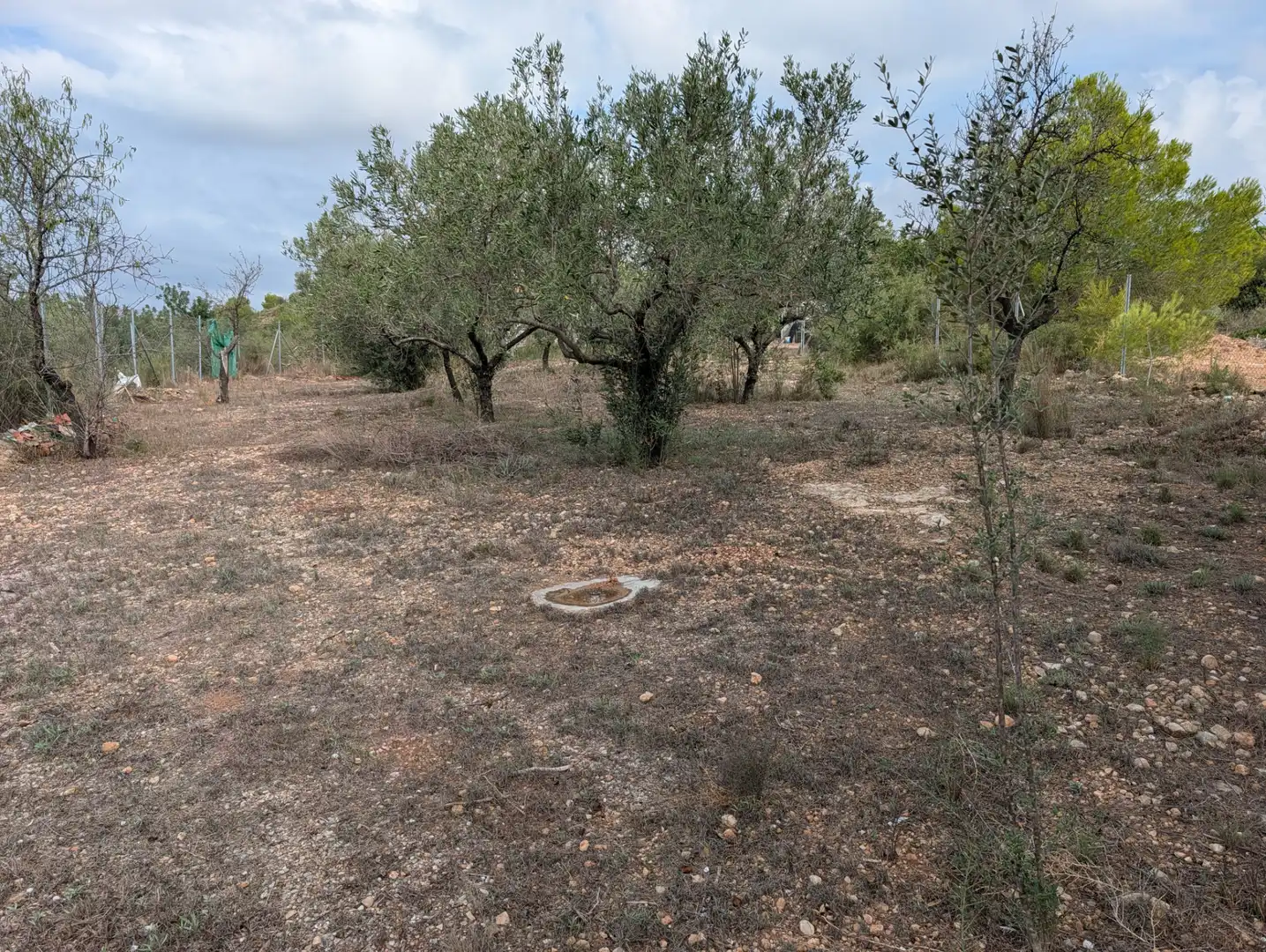 Casa rustica con piscina in vendita a Pedralba, imagen 51