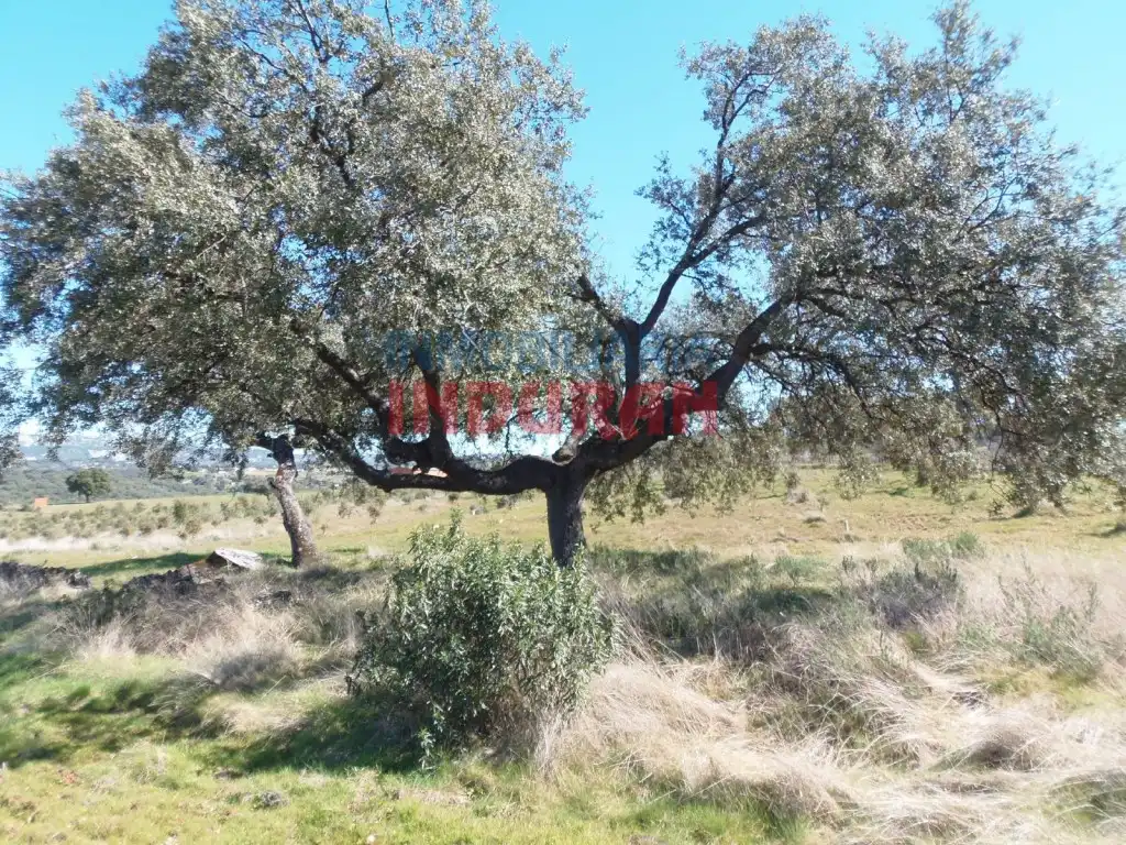 Casa rústica en venda a Fresnedoso de Ibor, imagen 8