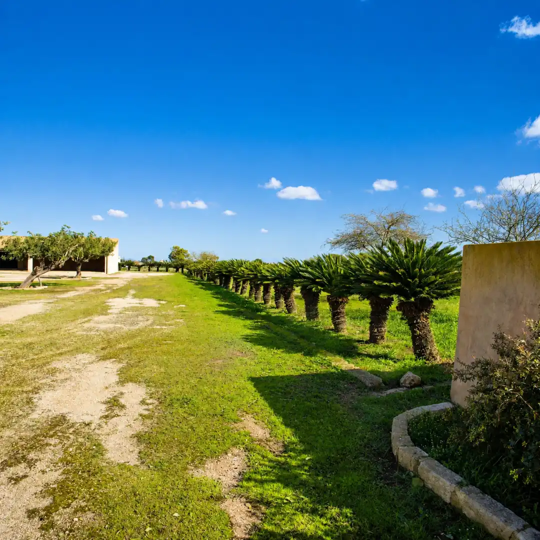 Maison avec jardin à vendre à Inca - Carrer del Rei, imagen 5