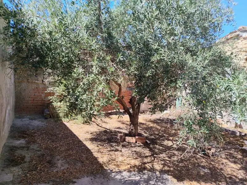 Maison à vendre à La Mata, imagen 48