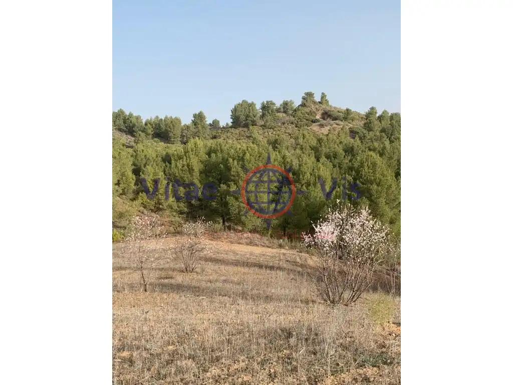 Residential land for sale in Travesia Fuensanta 01, imagen 4
