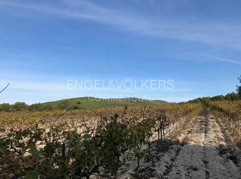 Fabrik Grundstücke zum Verkauf in Avinyonet del Penedès