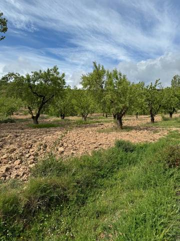 Terreno en Venta en Bergasa