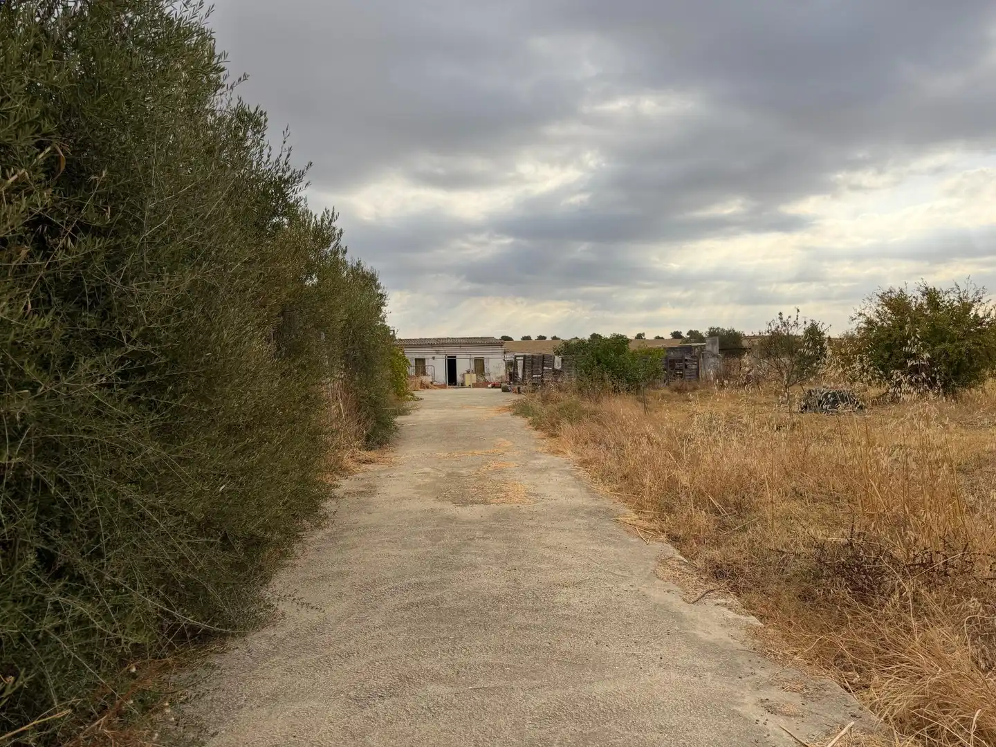 Country homes for sale in Trigueros, Huelva