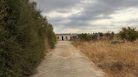 Foto 5 de Finca rústica en venta en Carretera Villar el, 4, Trigueros, Huelva