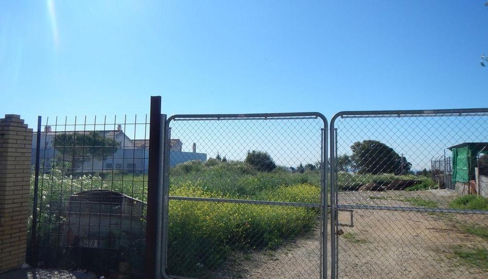 Photo 1 of Land for sale in Cantaelgallo P.m-9-20 (u.e.p-1), 79, Las Pajanosas, Sevilla